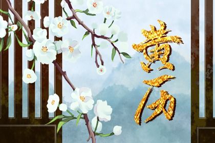 1984年鼠是什么命(1984年鼠是什么命 五行属什么)