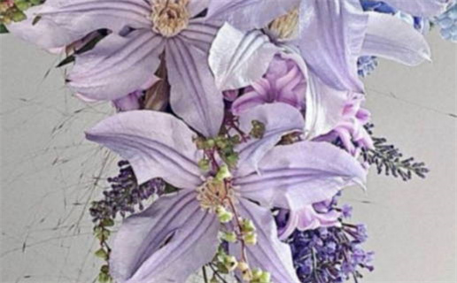 66年属马的人命运解析与性格特点