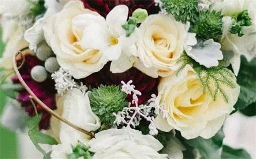 2002年属马女性命理解析与人生运势分析