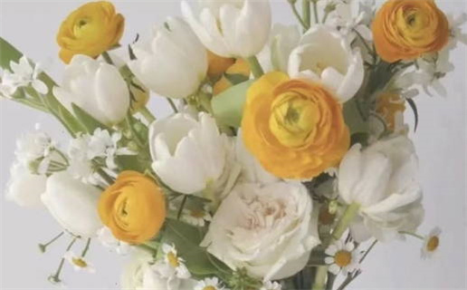 1975年出生的人命运解析与人生特点揭秘