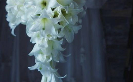 2019年猪宝宝命运解析是什么命运最佳运势详解