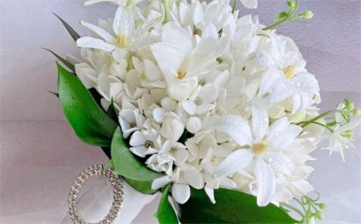 命带桃花是什么意思_命带桃花是什么意思?