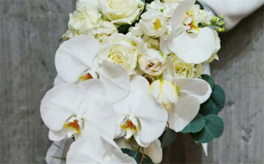 今年出生的是什么命(今年出生的是什么命应该叫什么名字)