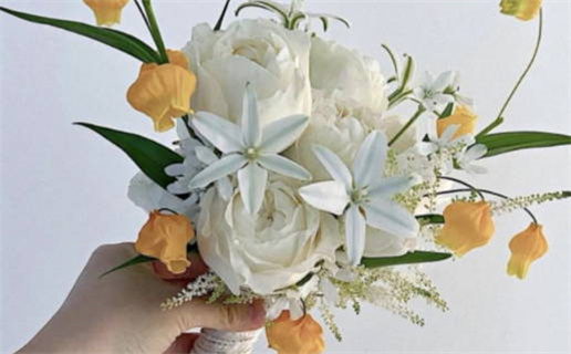 1980年出生猴子的命运解析与性格特点