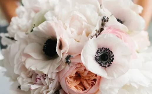 70属狗的五行是什么命_1970年金命缺什么