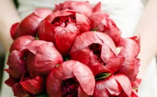 火命人适合做什么行业_火命人适合做什么行业生意