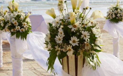 67年的羊是什么命(67年的羊是什么命五行缺什么)