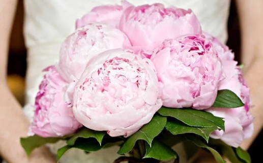 79年的羊女是什么命(79年的羊女是什么命的人)