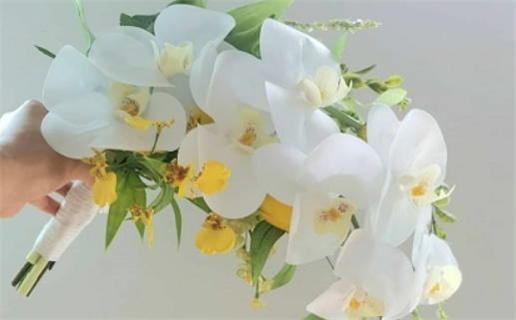 黄道吉日吉时查询社保_老黄历吉日查询2021年社日