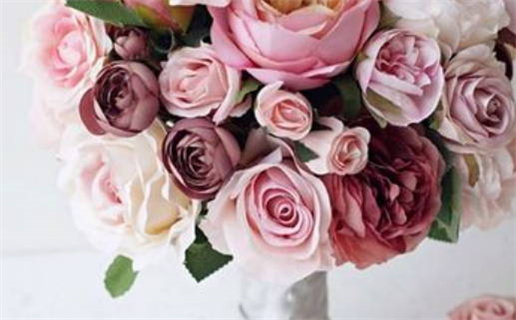 1982年狗是什么命