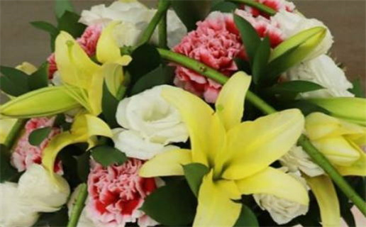 1964年属兔命理解析揭示你的命运与性格特点