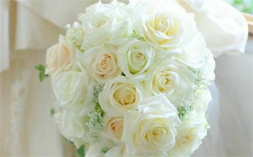 1995年属猪的人命运解析与运势指导