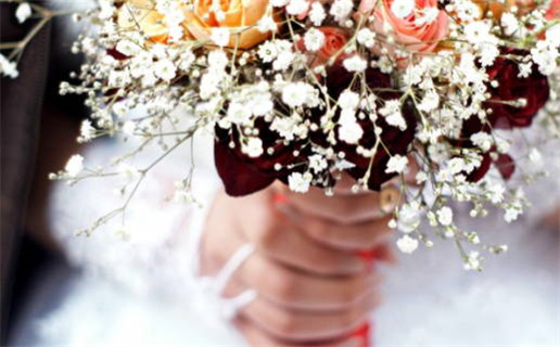 石榴木命适合的旺运颜色解析指南