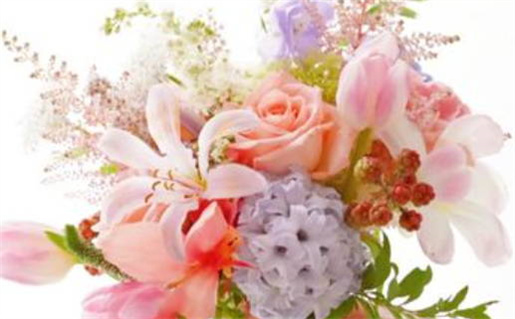 1954年属马的是什么命(1954年属马的是什么命金木水火土)