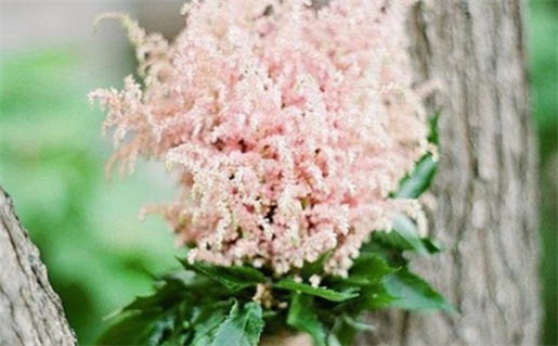 1930年属马的人命理分析与运势解读