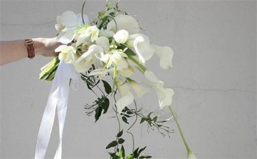 94年五行属什么命(1994年五行属什么命)