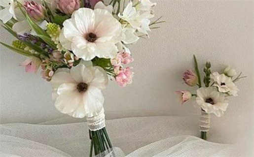 四两命的秘密解析与人生启示