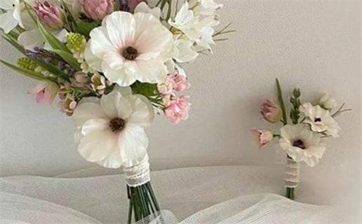 70年属狗人的命运解析与运势预测