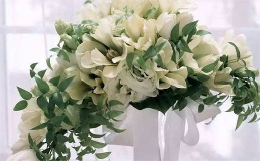 2000属龙的是什么命(2000属龙的是什么命?)