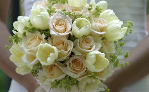 八五年牛的命运解析与性格特征分析