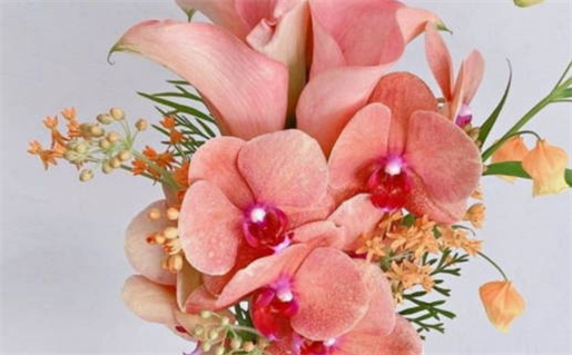 12月初四出生是什么命