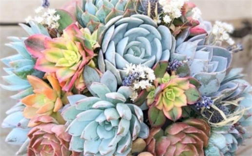 四两九钱女命会生什么