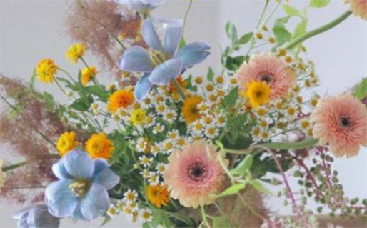 大林木命忌讳什么颜色_36岁属蛇大劫是什么意思