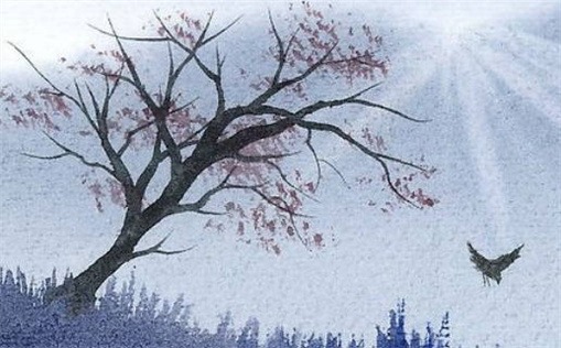 女的八败命是什么意思