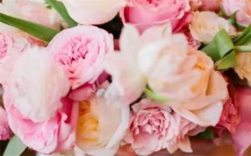 金命开什么颜色的车_金命开什么颜色的车最好