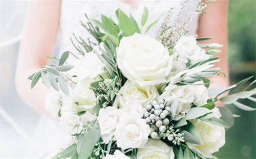 1951年属兔命运解析揭秘生肖兔的人生轨迹