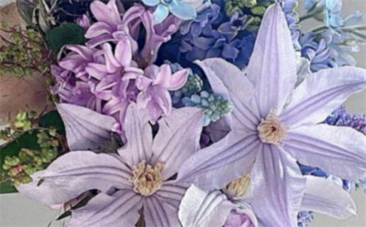 农历六月初八是什么命_农历六月初八是什么命格