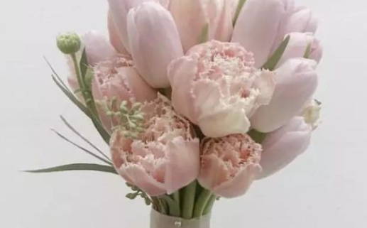 属猴8月出生的人命运解析与事业发展建议