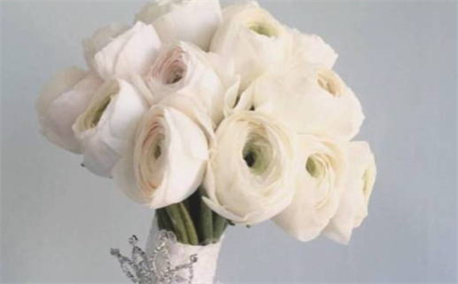 30岁属大龙的命运解析与人生发展指南