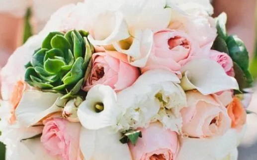 黄道吉日吉时查询征信(黄道吉日查询网吉日吉时查询)