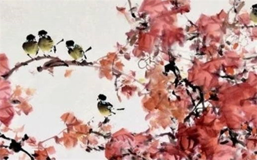 是命也是运也什么意思(是命也是运也什么意思啊)