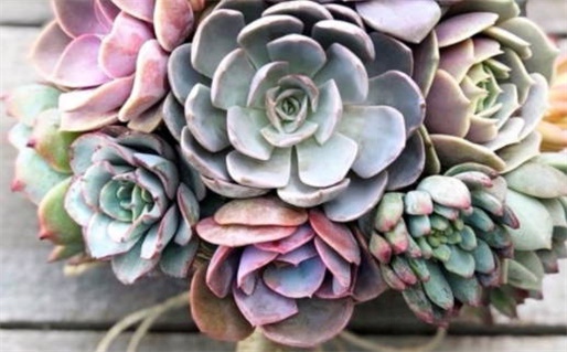 今天万年历2026年06月18日动土吉日,动土好日子查询