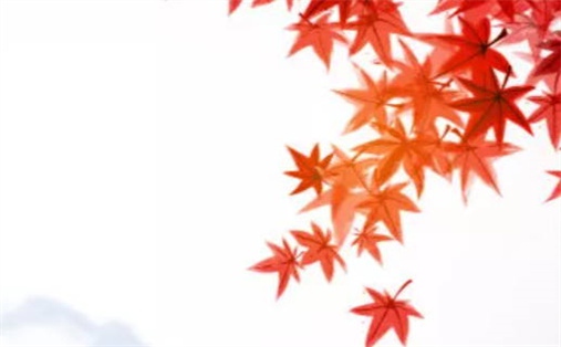 今日万年历2027年07月05日开始施工吉日,动土好日子查询