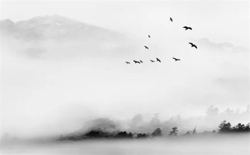 农历二〇二六年八月廿九黄历不适宜开工吗,动土好日子有哪些