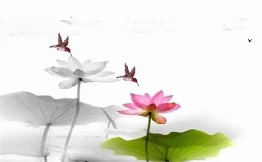 2028年04月05日动土黄历查询