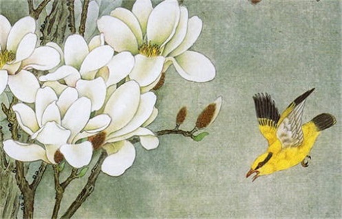 今日2031年05月20日破土老黄历不适宜吗,农历二〇三一年闰三月廿九动土日子