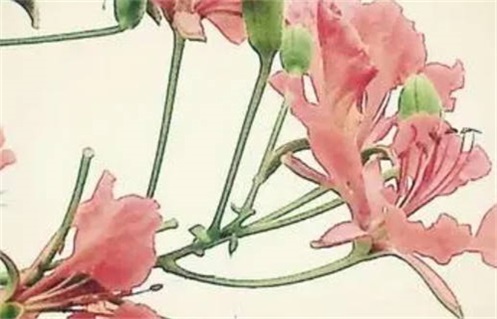 2027年10月23日不适宜开工吗,这天动土合适吗