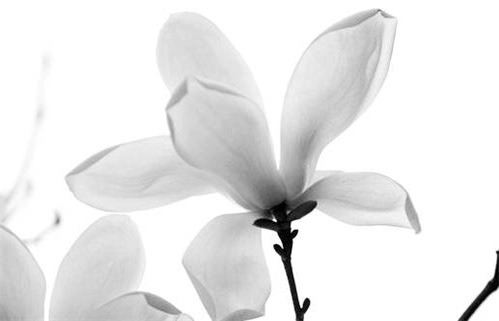 农历二〇二八年五月廿七黄历适宜开工建设吗,动土好日子有哪些