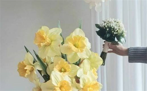 2026年06月08日结婚黄历查询