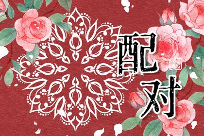 2030年1月26日领证指南：宜忌事项及适宜性分析