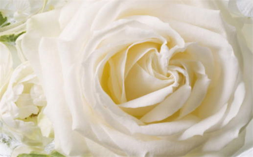 2026年03月26日领证黄历查询