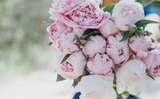 农历二〇二六年九月廿六黄历不适合办证吗,领证好日子有哪些