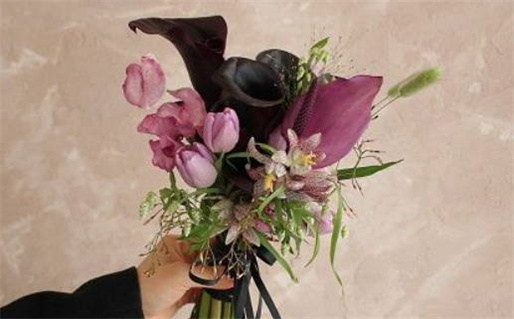 2027年3月18日领证指南：宜忌事项全面解析，了解适宜与否！