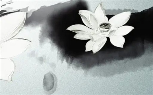 2027年05月14日不适合办证吗,这天领证合适吗