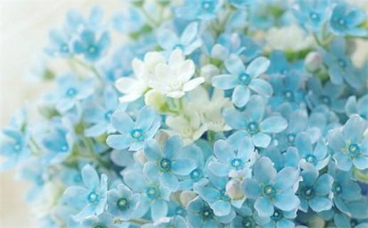 2027年06月19日乔迁黄历查询