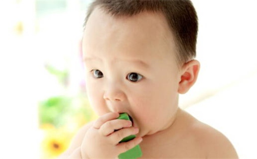 张姓女孩子取名